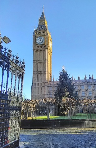 Big Ben and the Christmas tree in the courtyard